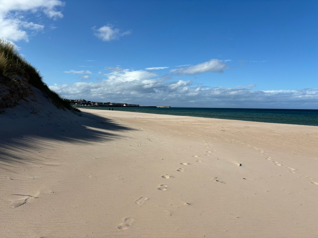 An excess of&nbsp;leisure