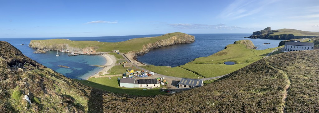 Taking tea with the&nbsp;Puffins